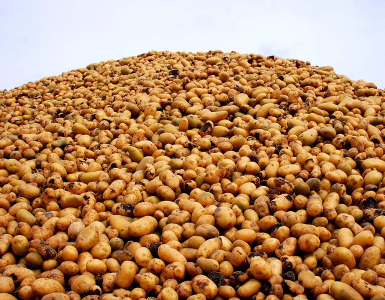 File:PatatasConGuarniciónDePatatas VegaraD.jpg