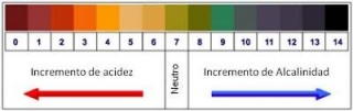 Escala pH.jpg