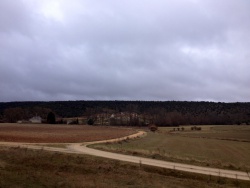 Abioncillo desde lejos.jpeg