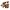 Minecraft Cocoa Beans.png