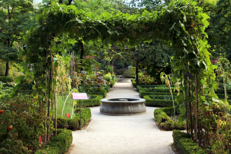File:Jardin botánico de Madrid.jpg